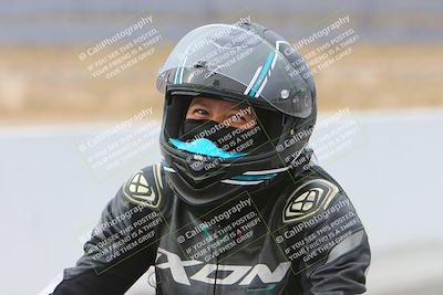 media/Mar-14-2025-2WTD (Fri) [[1c2b4792eb]]/1-Pre Grid - Pits/